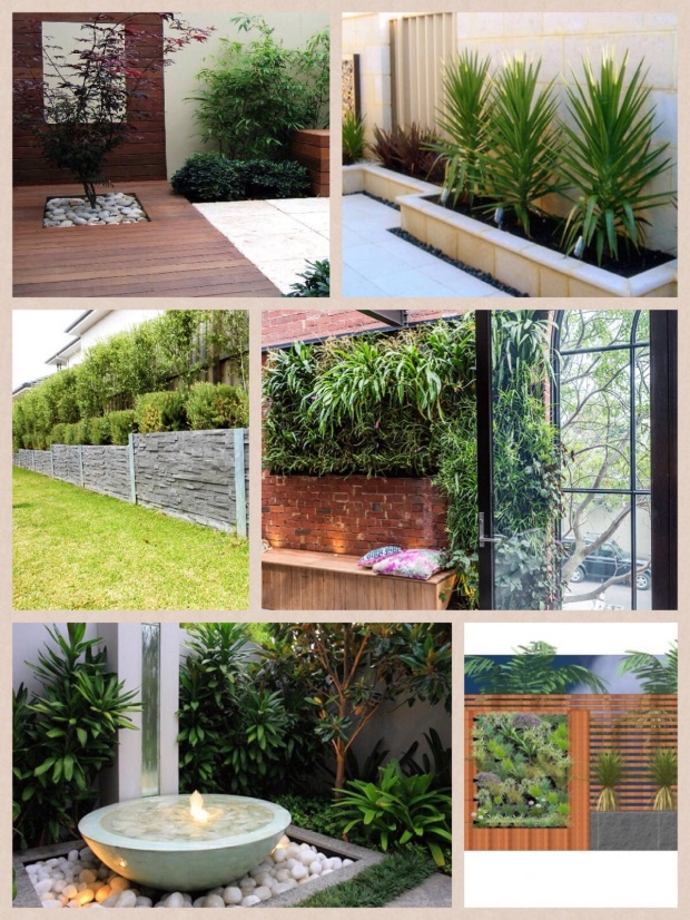 Collage of beautiful images for the side garden